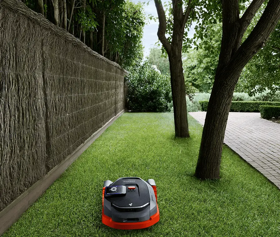 A robotic lawn mower cutting grass beside trees and a paved driveway.
